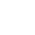 Lion Forklift İstanbul