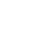 Shantiu Forklift İstanbul